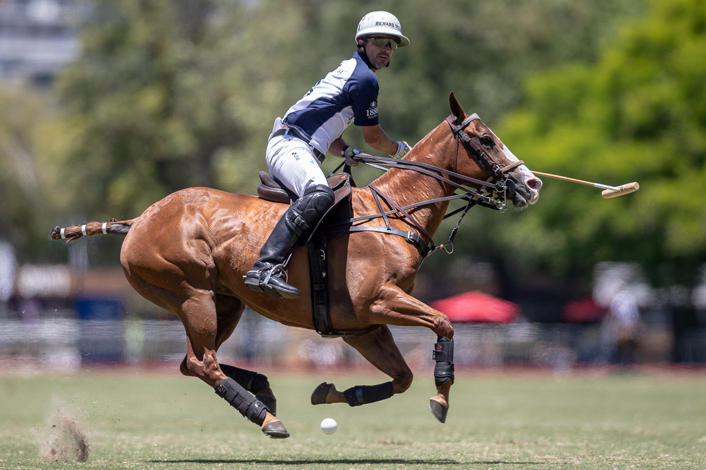 PoloLine.TV | Argentine Open - Pablo Mac Donough