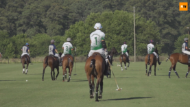 Captura de pantalla (711)