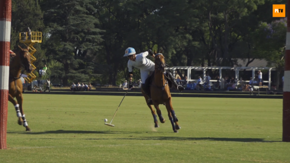 Captura de pantalla (713)