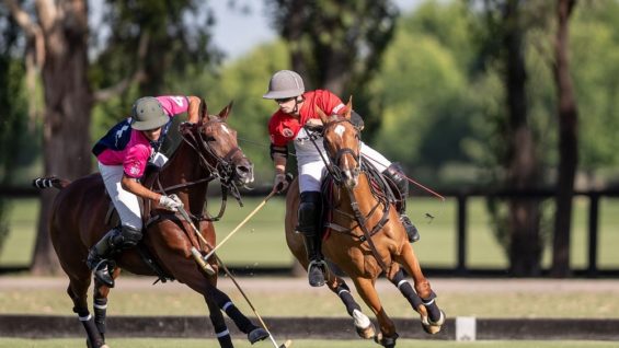 WhatsApp Image 2020-12-06 at 19.45.26