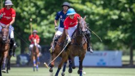 WhatsApp Image 2020-12-07 at 21.33.22