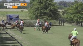 Thai Polo Cup – Amadeus vs Sealink