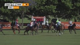 Thai Polo Cup – Campanulata vs Amadeus