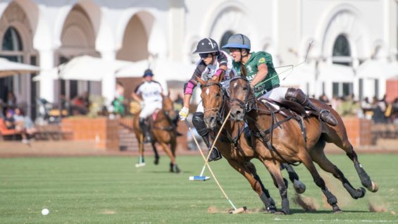 WhatsApp Image 2021-01-22 at 8.08.44 PM