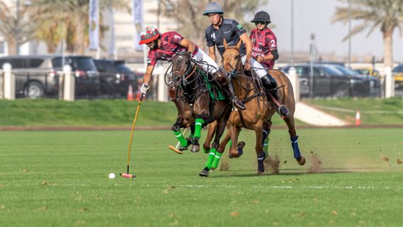 WhatsApp Image 2021-01-23 at 7.55.54 PM