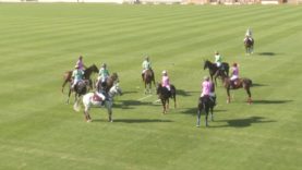 AHPRC January League – 9 Stitches v El Basha YS