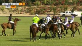 Emirates Polo Association Cup – Semifinal Ankora/Habtoor v Abu Dhabi