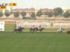 Sultan Bin Zayed Polo Cup – Abu Dhabi v Ghantoot A