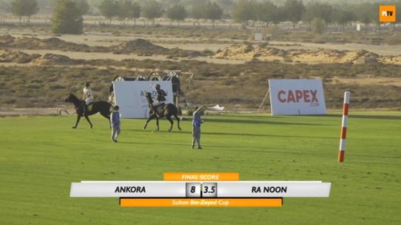 Sultan Bin Zayed – Semis Highlight