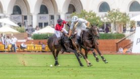 WhatsApp Image 2021-02-19 at 8.13.19 PM