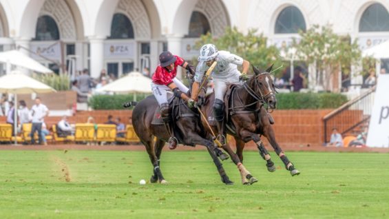 WhatsApp Image 2021-02-19 at 8.13.19 PM