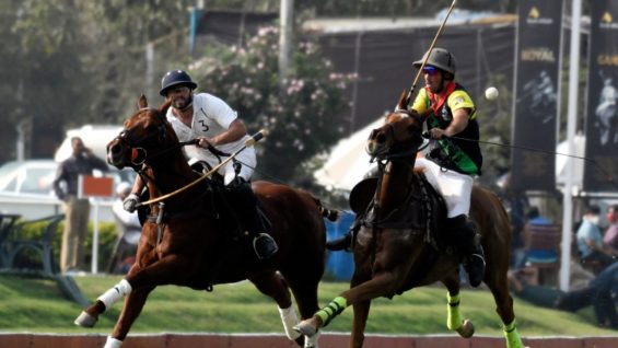 WhatsApp Image 2021-03-10 at 7.47.16 PM