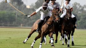 WhatsApp Image 2021-03-14 at 8.39.52 PM