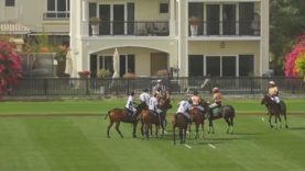 Dubai Challenge Cup – Dubai Wolves v AM