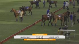 Pakistan National Open – Diamond Paints v Master Paints Black