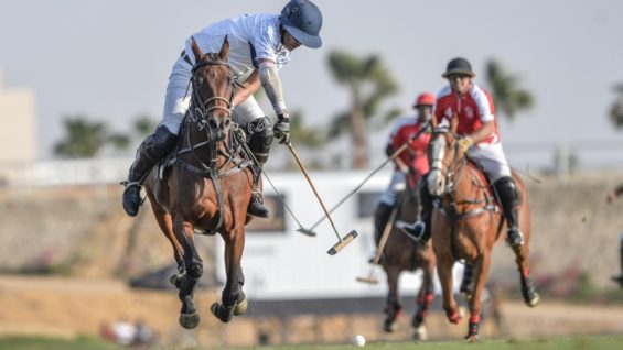 3778FD60-26BE-435D-B2AA-65A9161E0C9A