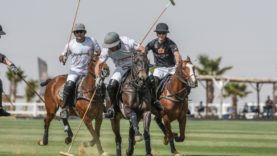 E6786B5A-EF57-46BA-A651-61A4AE7334E4