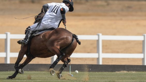 WhatsApp Image 2021-04-02 at 2.31.04 PM (1)