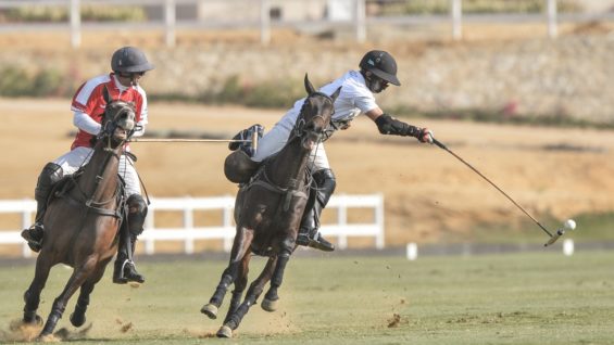 WhatsApp Image 2021-04-02 at 4.29.05 PM