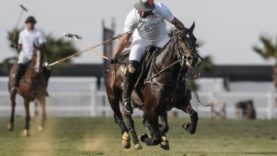 WhatsApp Image 2021-04-02 at 4.57.35 PM