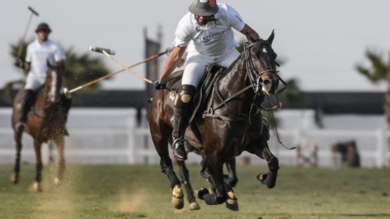 WhatsApp Image 2021-04-02 at 4.57.35 PM