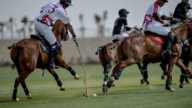 WhatsApp Image 2021-04-09 at 2.50.26 PM