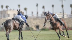 WhatsApp Image 2021-04-09 at 5.13.36 PM (1)