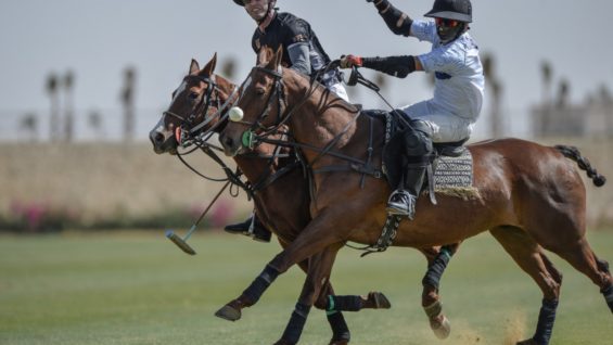 WhatsApp Image 2021-04-10 at 2.59.45 PM