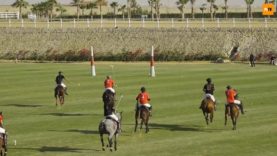 Mohanad El Afandy – Kings Polo Egypt