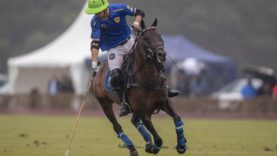 WhatsApp Image 2021-05-20 at 14.20.24