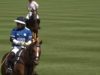 Justerini & Brooks Prince of Wales Trophy – King Power vs Thai Polo