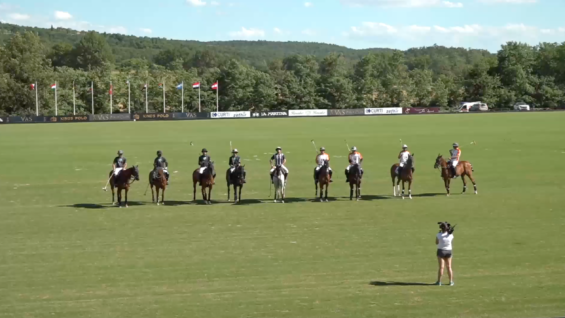 Screen Shot 2021-06-26 at 16.43.32