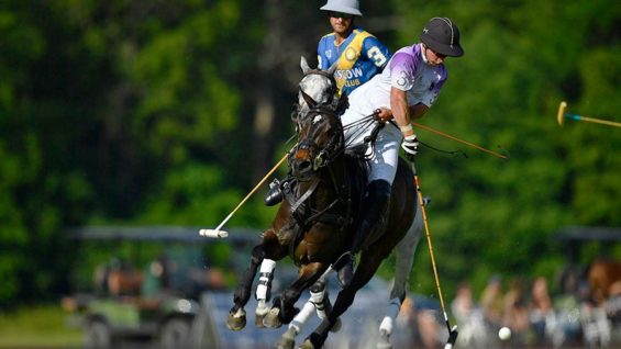 WhatsApp Image 2021-06-10 at 18.46.13