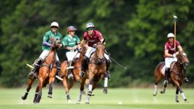 WhatsApp Image 2021-06-10 at 18.46.32