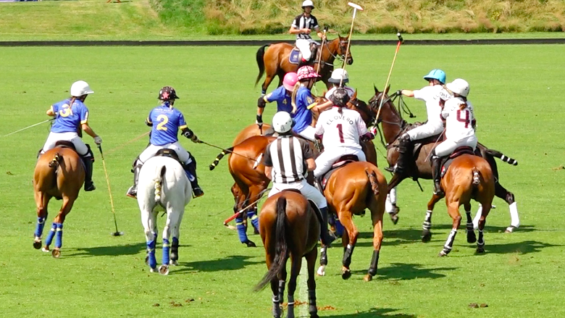 Captura de Pantalla 2021-07-21 a la(s) 12.45.53