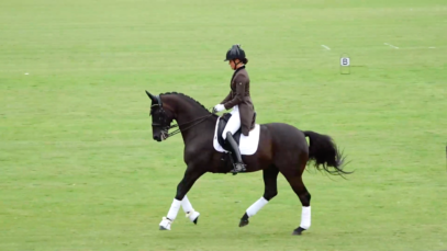 Captura de Pantalla 2021-07-31 a la(s) 14.30.34