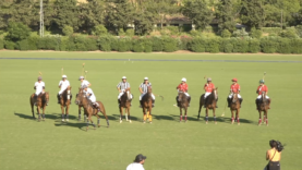 Screen Shot 2021-07-18 at 8.16.05 PM