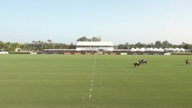 Copa de Bronce Volvo (Alto) – Marques de Riscal vs BN Polo