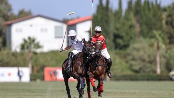 WhatsApp Image 2021-08-25 at 19.57.40