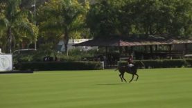 Copa De Oro 50 Aniversario (Alto) – Marques de Riscal vs BN Polo