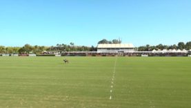 Copa de Oro 50 Aniversario Final (Alto) – Marques de Riscal v Ayala