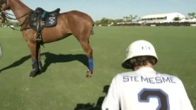 Copa de Plata (Alto) – Sainte Mesme vs Marques de Riscal