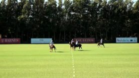 Copa de Plata Terralpa (Mediano) – Hodro vs Cibao La Pampa