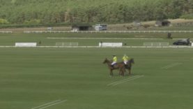 German Polo Championship 2021 – M Polo vs. M1 Select