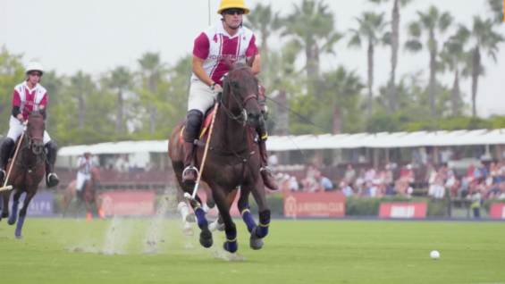 Screen Shot 2021-09-02 at 13.29.18