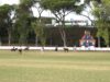Campionato Italiano di Polo – La Mimosa v Acquedotto Romano