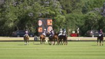 Pink Polo Cup 2021 – Marengo vs Beloved Krono