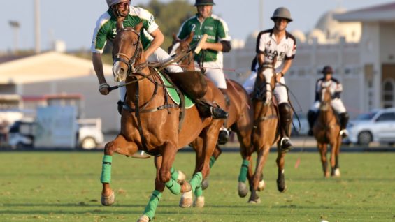 3AF28CF8-63B6-4E67-8E63-FCCA54561A0A