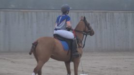 Ambassadors Winter Cup – Amos v Avengers