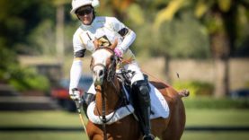 2cf40a33-c99f-4bf1-a728-1aa8edbd3e31